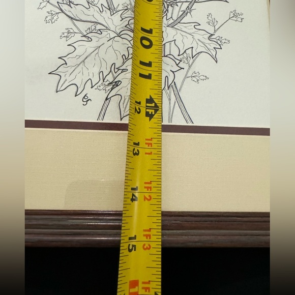 Vintage Framed Botanical Ink Pen Illustration Milk Thistle & Leaves MCM Unique - Picture 8 of 10